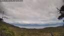 ./images/calvert/fitz-hugh-hecate/20250518/fitz-hugh-hecate20250518_150509M.jpg