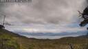 ./images/calvert/fitz-hugh-hecate/20250518/fitz-hugh-hecate20250518_151010M.jpg