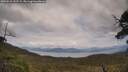 ./images/calvert/fitz-hugh-hecate/20250518/fitz-hugh-hecate20250518_152509M.jpg