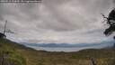 ./images/calvert/fitz-hugh-hecate/20250518/fitz-hugh-hecate20250518_153010M.jpg