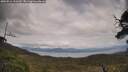 ./images/calvert/fitz-hugh-hecate/20250518/fitz-hugh-hecate20250518_153510M.jpg