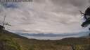 ./images/calvert/fitz-hugh-hecate/20250518/fitz-hugh-hecate20250518_154008M.jpg