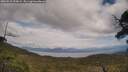 ./images/calvert/fitz-hugh-hecate/20250518/fitz-hugh-hecate20250518_155007M.jpg