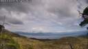 ./images/calvert/fitz-hugh-hecate/20250518/fitz-hugh-hecate20250518_161510M.jpg