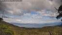 ./images/calvert/fitz-hugh-hecate/20250518/fitz-hugh-hecate20250518_163510M.jpg