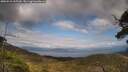 ./images/calvert/fitz-hugh-hecate/20250518/fitz-hugh-hecate20250518_165510M.jpg