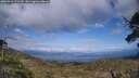 ./images/calvert/fitz-hugh-hecate/20250518/fitz-hugh-hecate20250518_171510M.jpg