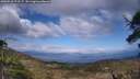 ./images/calvert/fitz-hugh-hecate/20250518/fitz-hugh-hecate20250518_172506M.jpg