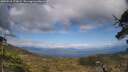 ./images/calvert/fitz-hugh-hecate/20250518/fitz-hugh-hecate20250518_173009M.jpg