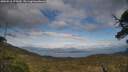 ./images/calvert/fitz-hugh-hecate/20250518/fitz-hugh-hecate20250518_175010M.jpg
