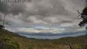 ./images/calvert/fitz-hugh-hecate/20250518/fitz-hugh-hecate20250518_181009M.jpg