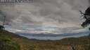 ./images/calvert/fitz-hugh-hecate/20250518/fitz-hugh-hecate20250518_181510M.jpg