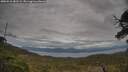 ./images/calvert/fitz-hugh-hecate/20250518/fitz-hugh-hecate20250518_182508M.jpg