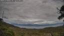 ./images/calvert/fitz-hugh-hecate/20250518/fitz-hugh-hecate20250518_183010M.jpg
