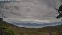 ./images/calvert/fitz-hugh-hecate/20250518/fitz-hugh-hecate20250518_183509M.jpg