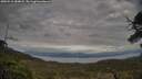 ./images/calvert/fitz-hugh-hecate/20250518/fitz-hugh-hecate20250518_184008M.jpg