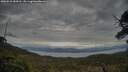 ./images/calvert/fitz-hugh-hecate/20250518/fitz-hugh-hecate20250518_184510M.jpg