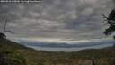 ./images/calvert/fitz-hugh-hecate/20250518/fitz-hugh-hecate20250518_185010M.jpg