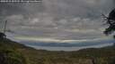 ./images/calvert/fitz-hugh-hecate/20250518/fitz-hugh-hecate20250518_185509M.jpg
