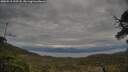 ./images/calvert/fitz-hugh-hecate/20250518/fitz-hugh-hecate20250518_190508M.jpg
