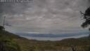 ./images/calvert/fitz-hugh-hecate/20250518/fitz-hugh-hecate20250518_191508M.jpg