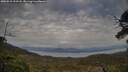 ./images/calvert/fitz-hugh-hecate/20250518/fitz-hugh-hecate20250518_192507M.jpg
