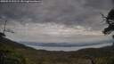./images/calvert/fitz-hugh-hecate/20250518/fitz-hugh-hecate20250518_193508M.jpg