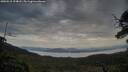 ./images/calvert/fitz-hugh-hecate/20250518/fitz-hugh-hecate20250518_194008M.jpg