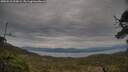 ./images/calvert/fitz-hugh-hecate/20250518/fitz-hugh-hecate20250518_200009M.jpg
