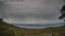 ./images/calvert/fitz-hugh-hecate/20250518/fitz-hugh-hecate20250518_200508M.jpg