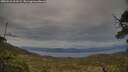 ./images/calvert/fitz-hugh-hecate/20250518/fitz-hugh-hecate20250518_201009M.jpg