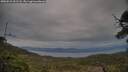 ./images/calvert/fitz-hugh-hecate/20250518/fitz-hugh-hecate20250518_201508M.jpg