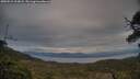 ./images/calvert/fitz-hugh-hecate/20250518/fitz-hugh-hecate20250518_203008M.jpg