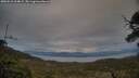 ./images/calvert/fitz-hugh-hecate/20250518/fitz-hugh-hecate20250518_204009M.jpg