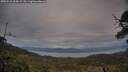 ./images/calvert/fitz-hugh-hecate/20250518/fitz-hugh-hecate20250518_204509M.jpg