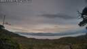 ./images/calvert/fitz-hugh-hecate/20250518/fitz-hugh-hecate20250518_210007M.jpg