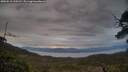 ./images/calvert/fitz-hugh-hecate/20250518/fitz-hugh-hecate20250518_210510M.jpg