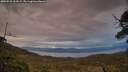 ./images/calvert/fitz-hugh-hecate/20250518/fitz-hugh-hecate20250518_211508M.jpg