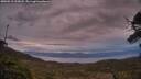 ./images/calvert/fitz-hugh-hecate/20250518/fitz-hugh-hecate20250518_212008M.jpg