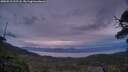 ./images/calvert/fitz-hugh-hecate/20250518/fitz-hugh-hecate20250518_212508M.jpg
