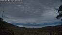 ./images/calvert/fitz-hugh-hecate/20250518/fitz-hugh-hecate20250518_214508M.jpg