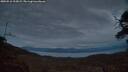 ./images/calvert/fitz-hugh-hecate/20250518/fitz-hugh-hecate20250518_215009M.jpg