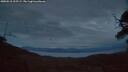 ./images/calvert/fitz-hugh-hecate/20250518/fitz-hugh-hecate20250518_215509M.jpg