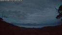./images/calvert/fitz-hugh-hecate/20250518/fitz-hugh-hecate20250518_220009M.jpg