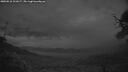 ./images/calvert/fitz-hugh-hecate/20250518/fitz-hugh-hecate20250518_221007M.jpg