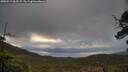 ./images/calvert/fitz-hugh-hecate/20250519/fitz-hugh-hecate20250519_062509M.jpg