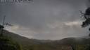 ./images/calvert/fitz-hugh-hecate/20250519/fitz-hugh-hecate20250519_063508M.jpg