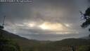 ./images/calvert/fitz-hugh-hecate/20250519/fitz-hugh-hecate20250519_064009M.jpg