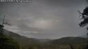 ./images/calvert/fitz-hugh-hecate/20250519/fitz-hugh-hecate20250519_070009M.jpg