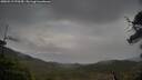 ./images/calvert/fitz-hugh-hecate/20250519/fitz-hugh-hecate20250519_070510M.jpg